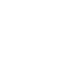 yt